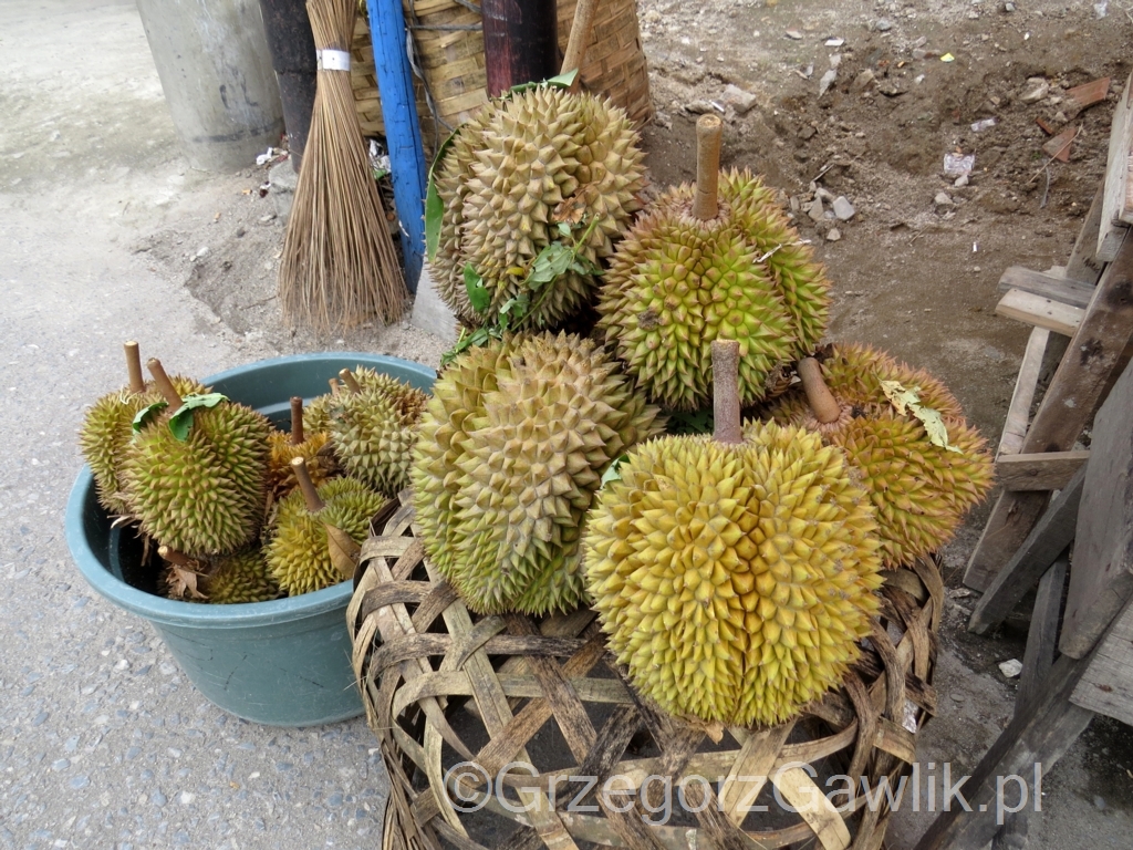 Durian nad jeziorem (superwulkanem) Toba, Sumatra, Indonezja.