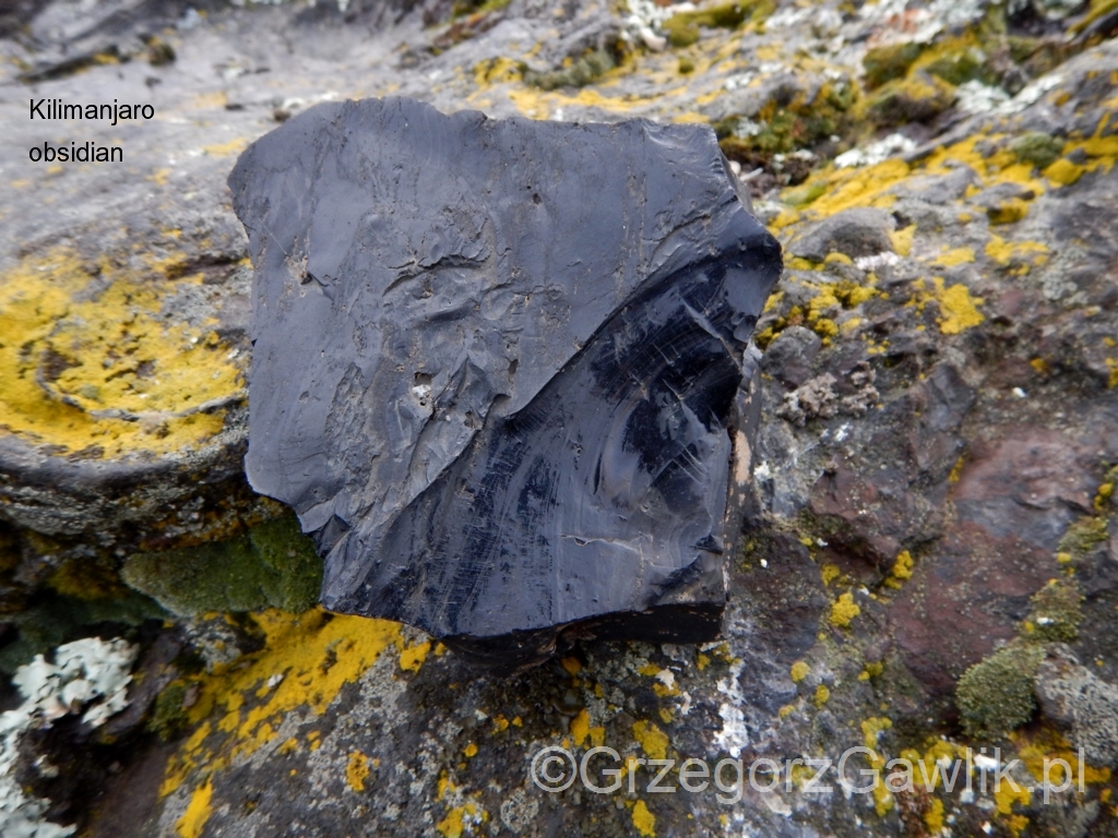 Obsidian from massif of Kilimanjaro (about 4000m above sea level).