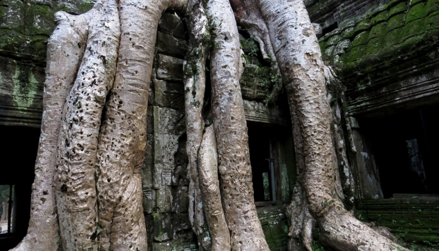 Ta Prohm Temple (Tomb Raider Temple)