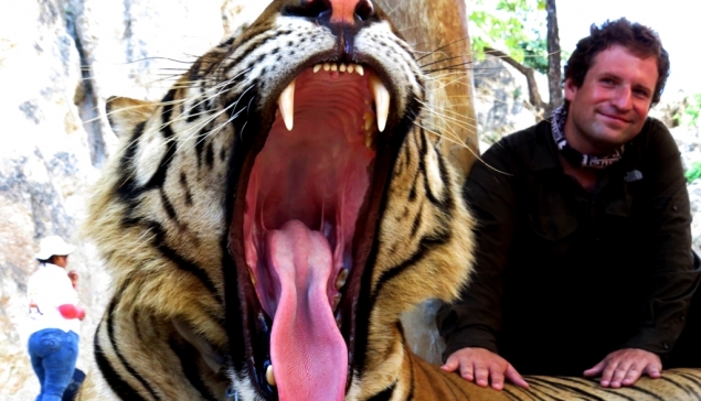 Minizoo zwane Tiger Temple