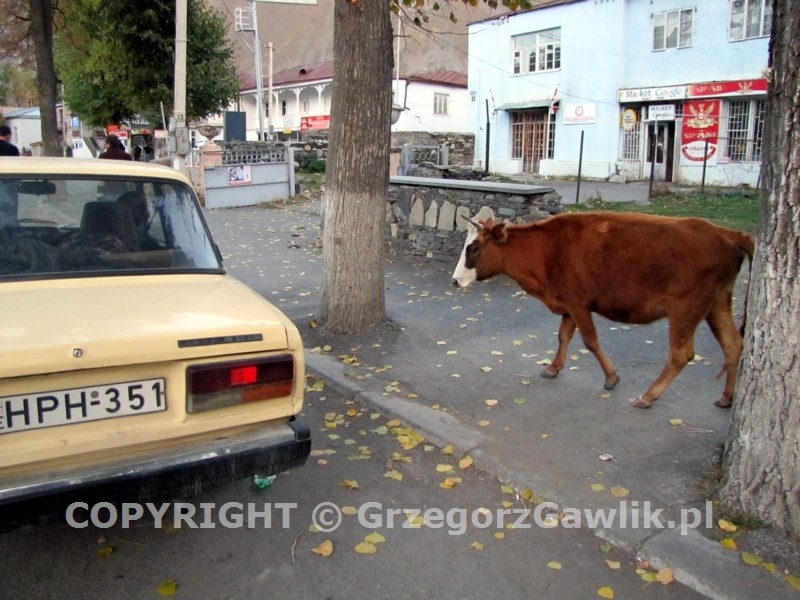 Centrum miejscowości Kazbegi (Stepancminda), Kaukaz