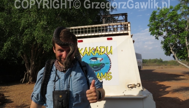 Grzegorz Gawlik w Australii z dusicielem na glowie